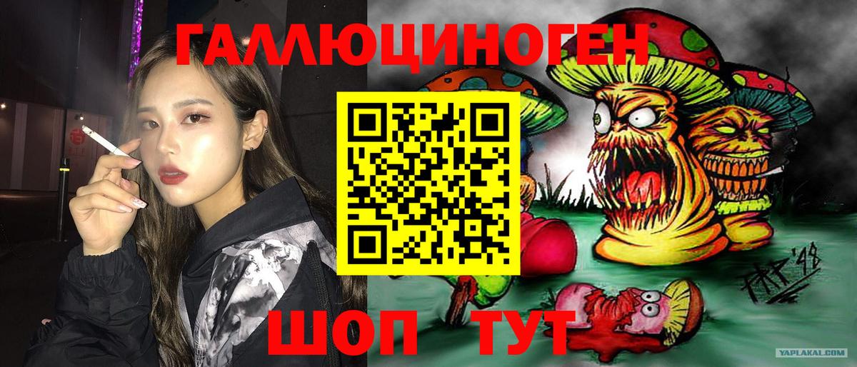 Псилоцибиновые грибы Psilocybe  Галлюциногенные грибы Psilocybine cubensis  Вход с VPN  Кимры 