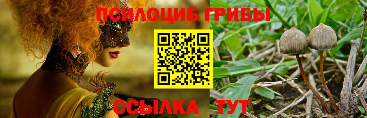 Каннабис  Cocaine  МДМА  ГАШИШ  Вход с VPN  Кимры  Мефедрон  